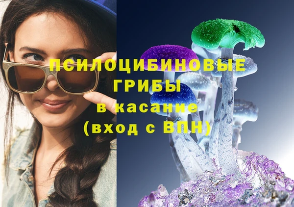 дживик Белоозёрский